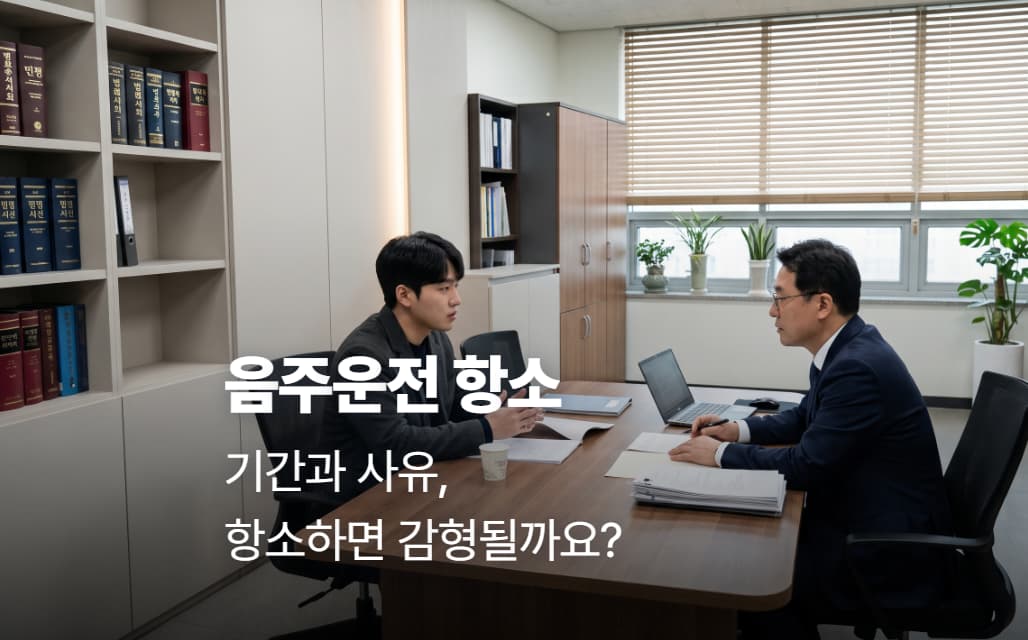 음주운전 항소 기간과 사유, 항소하면 감형될까요?