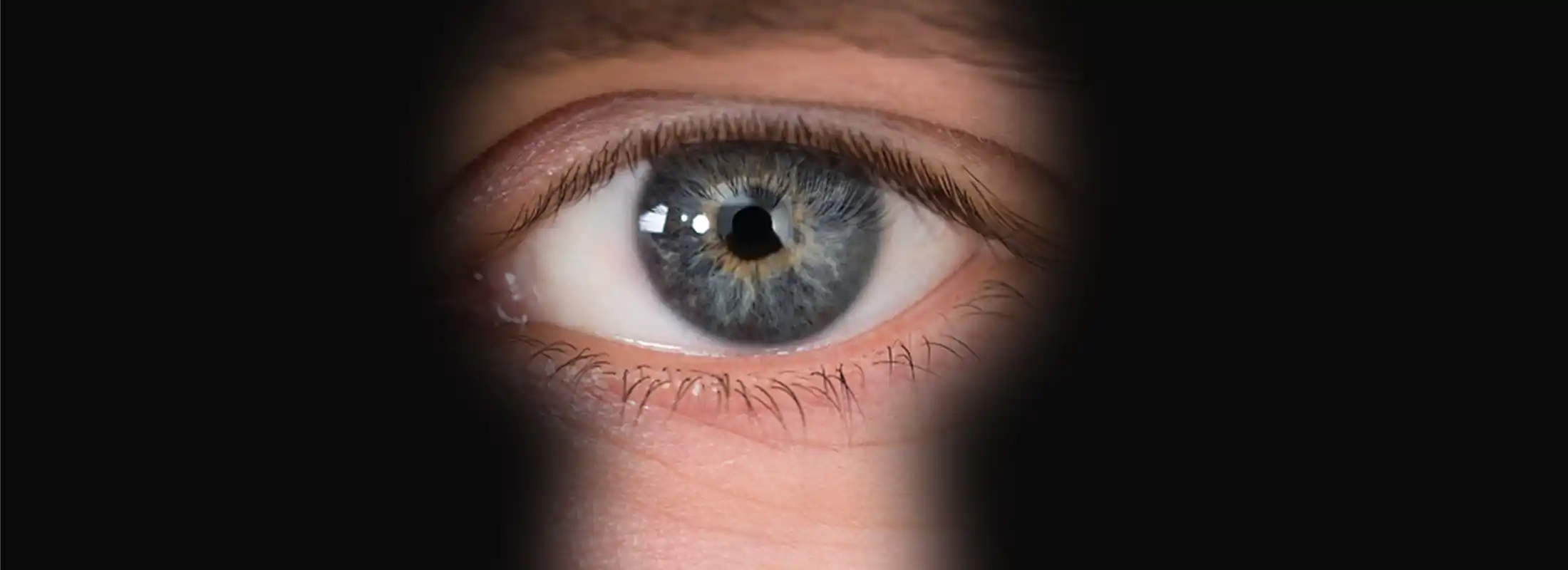 법무법인YK_형사센터