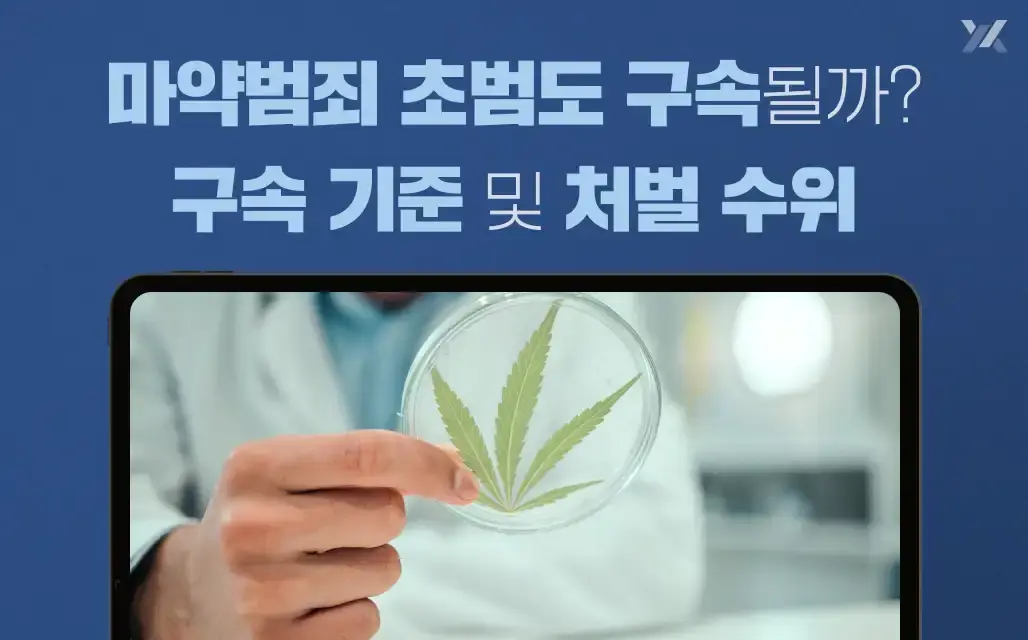 마약범죄 초범도 구속될까? 구속 기준 및 처벌 수위