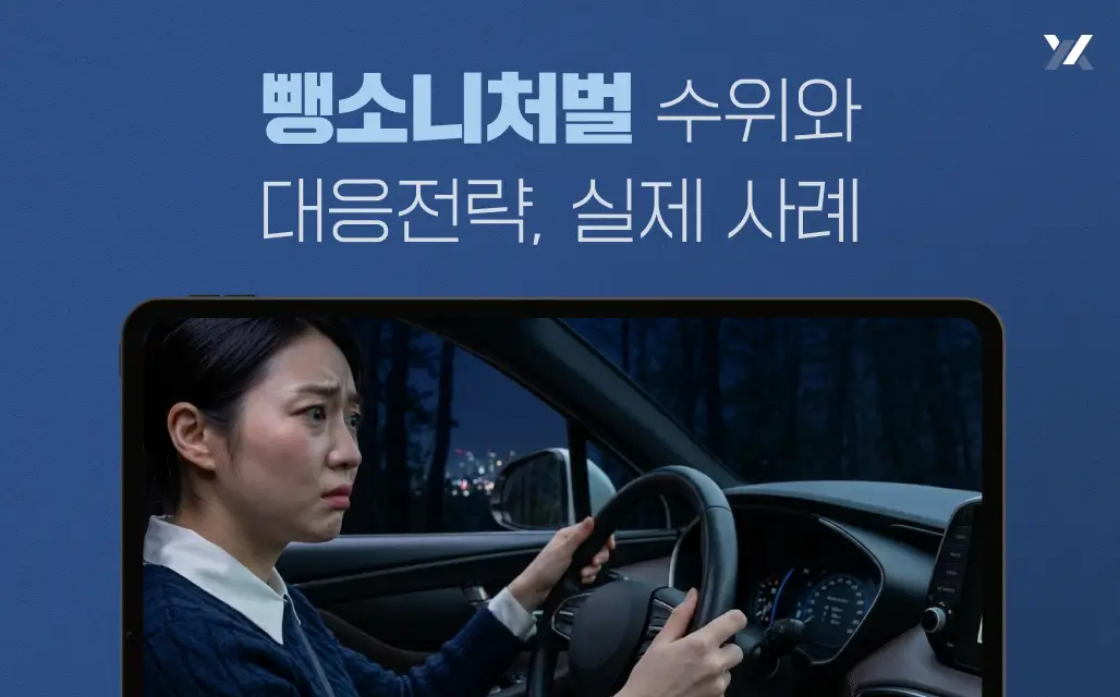 뺑소니처벌 수위와 대응 전략, 실제 사례